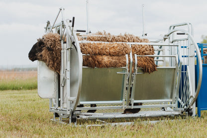 Sydell Deluxe Spin Doctor for tilting goats and sheep for hoof trimming sheep and goat equipment