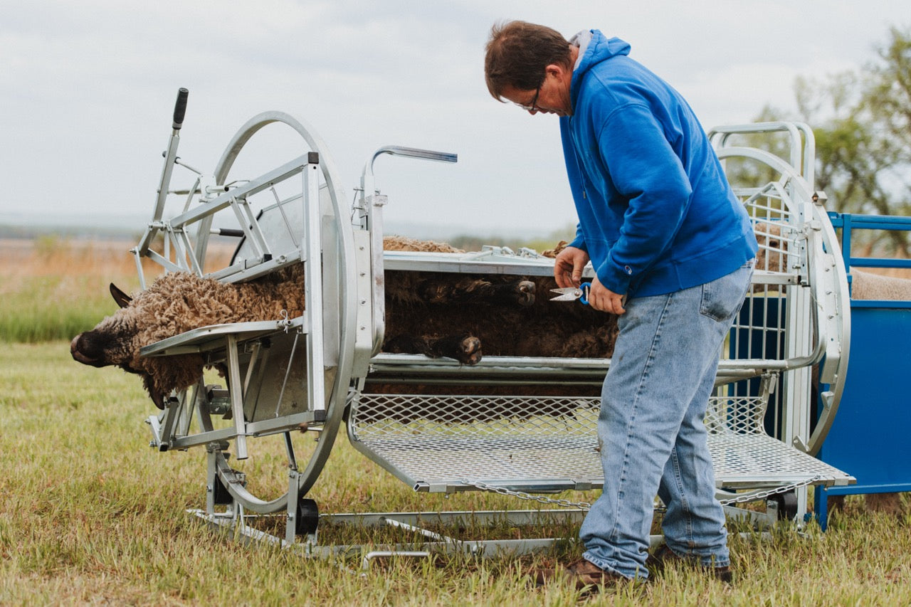 Sydell Deluxe Spin Doctor for tilting goats and sheep for hoof trimming sheep and goat equipment
