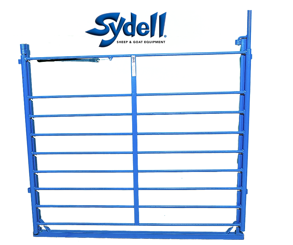 Sheep & Goat Working Stock Equipment | Handling & Management | Sydell ...