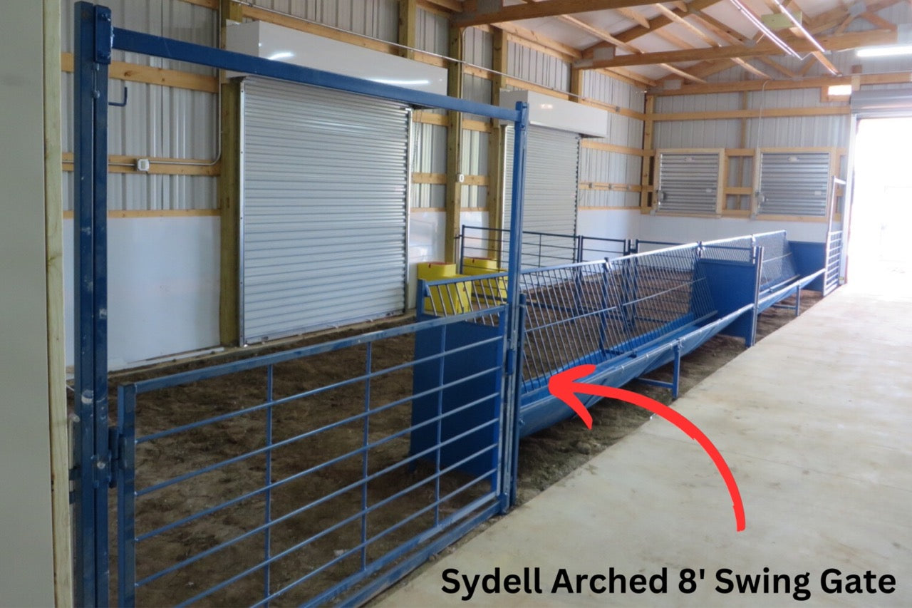 Sydell Arched eight foot swing gate for herding sheep and goats