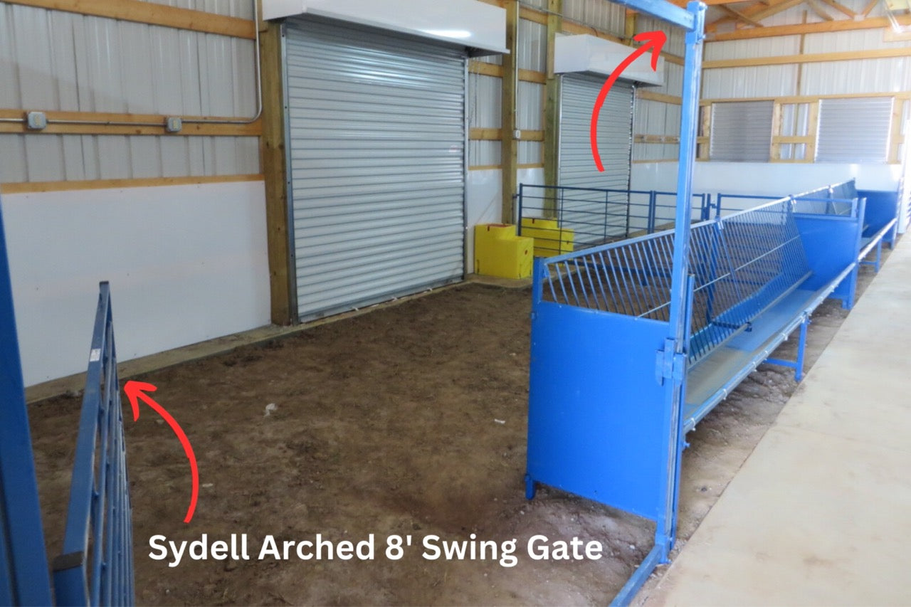 Sydell Arched eight foot swing gate for herding sheep and goats