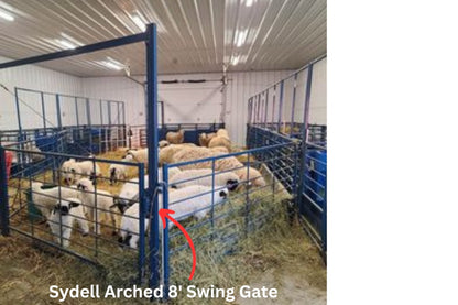 Sydell Arched eight foot swing gate for herding sheep and goats