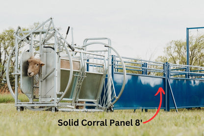 8' Solid Corral Panel (950) installed in barn layout for efficient sheep and goat handling