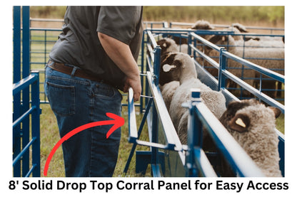 Sheep and goat handling equipment setup designed for safer handling and routine management