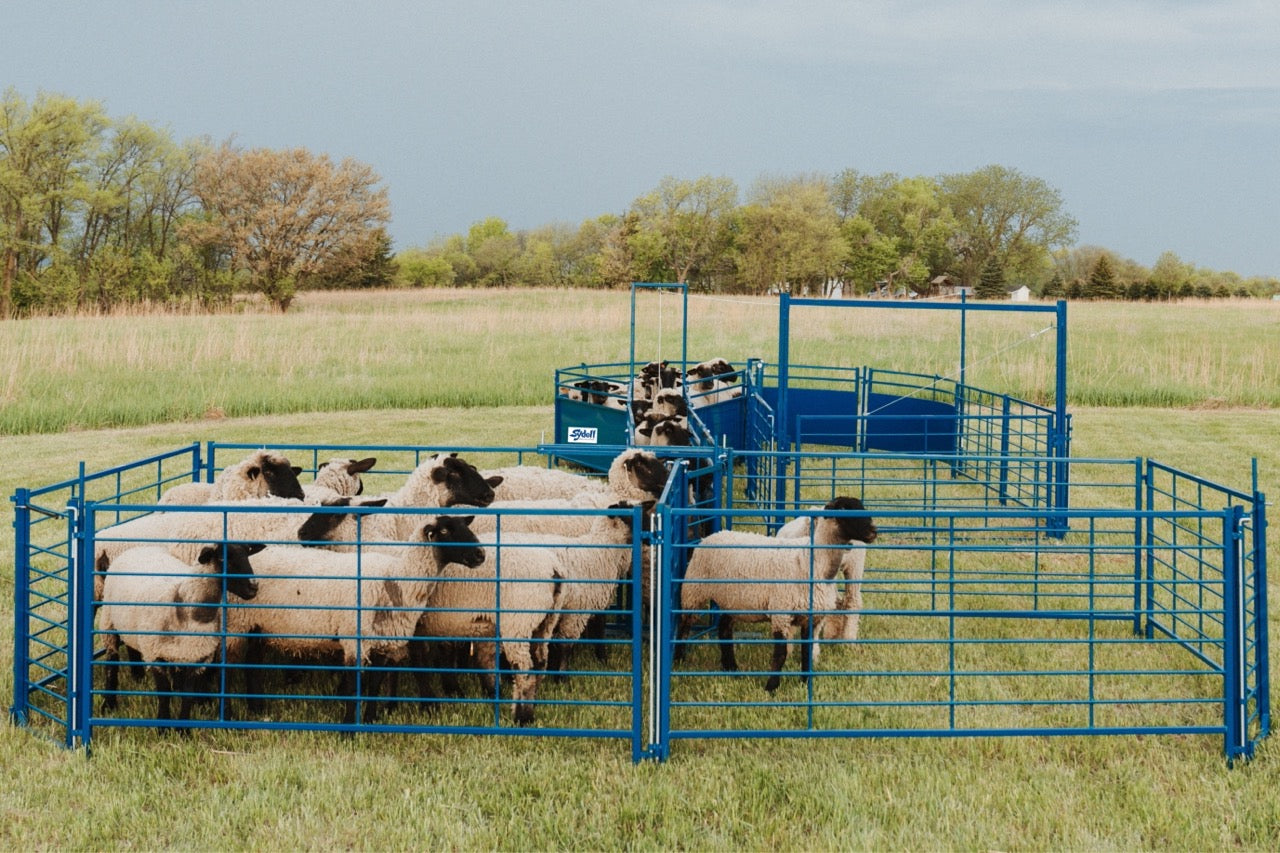Sydell 4,6,or8 foot open panel goat and sheep corral