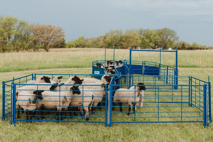 Sydell 4,6,or8 foot open panel goat and sheep corral