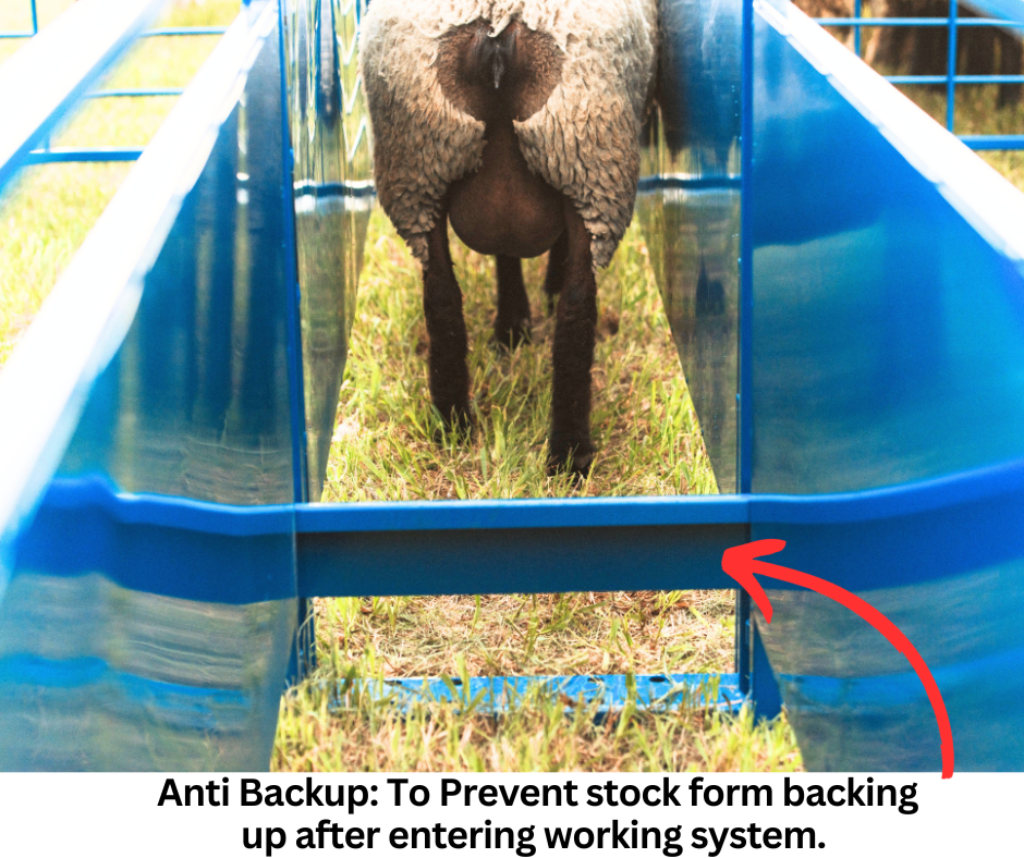 Sydell goat and sheep anti-backup shield for chute