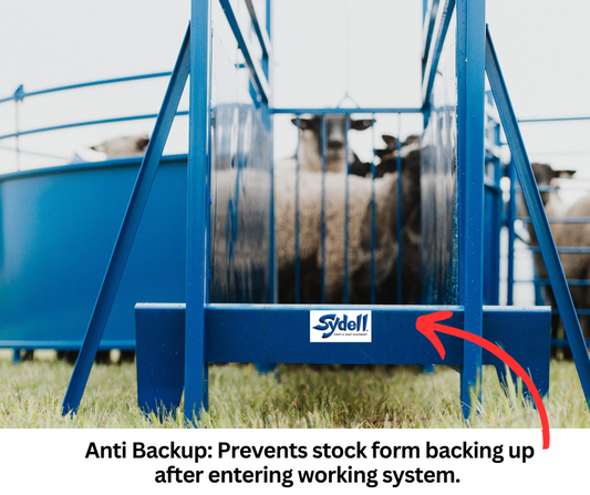 Sheep and goat handling equipment setup designed for safer handling and routine management