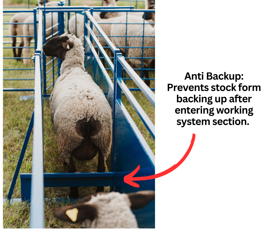 Sydell goat and sheep anti-backup shield for chute