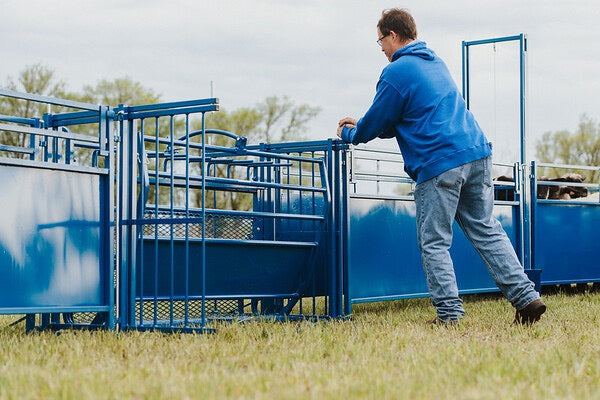 Sydell tilt table for goat and sheep care livestock equipment