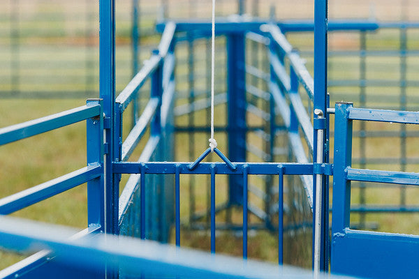 Sydell Guillotine gate for goat and sheep corral livestock farm equipment