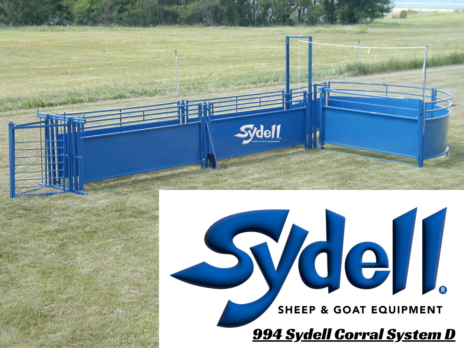 Sheep & Goat Working Stock Equipment | Handling & Management | Sydell ...