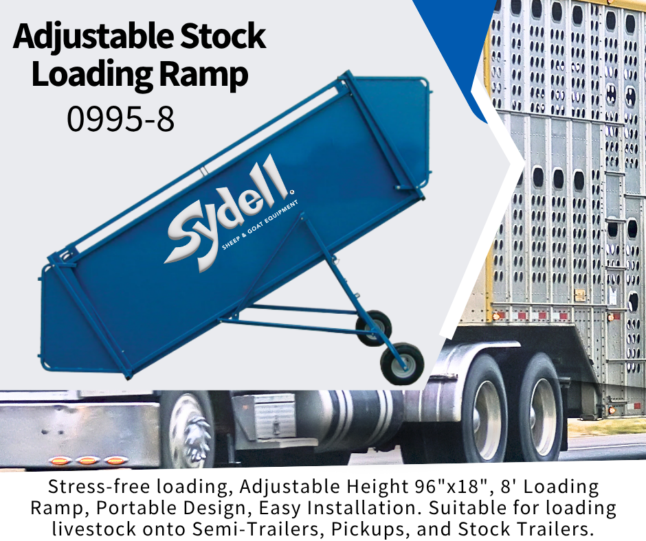 8’ Loading Ramp (0995-8)