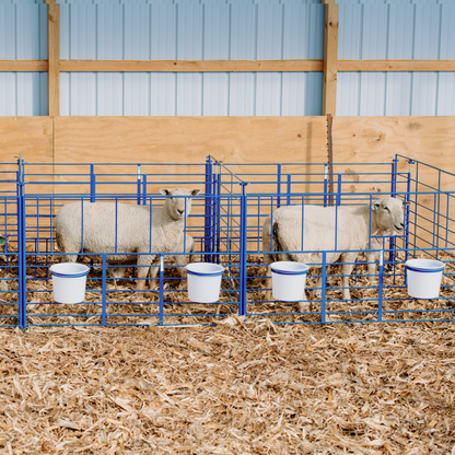 Freestanding Starter Pens for Sheep & Goats | Sydell #0112A