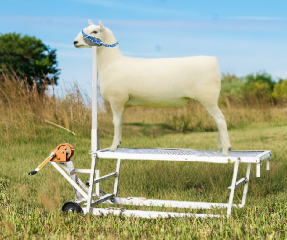 Winch Blocking Stand for Sheep & Goats | Sydell #0750