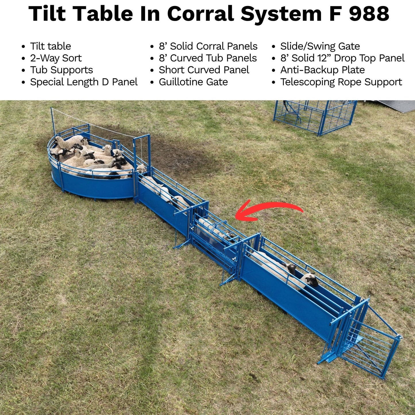 Tilt Table for Sheep & Goats Hoof Trimming | Sydell #0930
