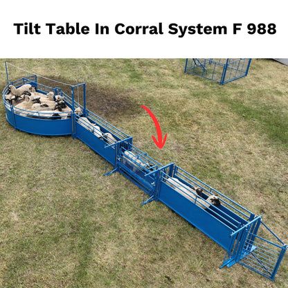 Tilt Table for Sheep & Goats Hoof Trimming | Sydell #0930