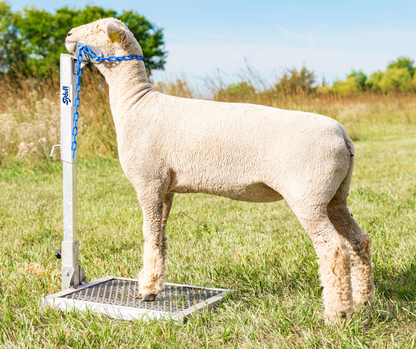 Aluminum Headpieces Chose From Small Head Piece Large Head Piece Nose Loop Head Piece sheep and goat handling equipment for livestock handling and a