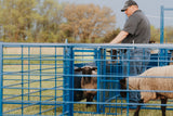 Sydell 2-way sorting gate for herding livestock sheep goat farm