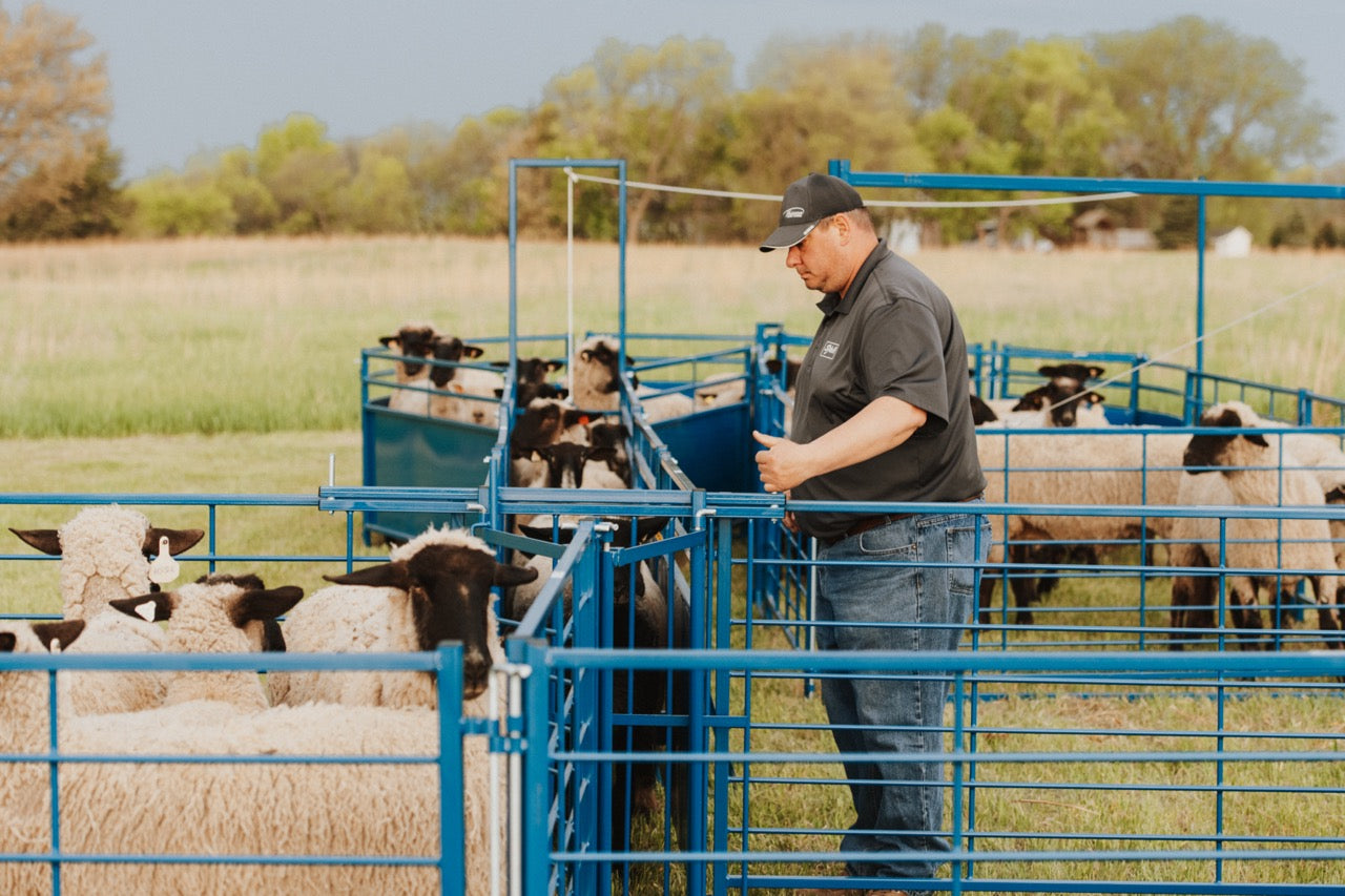 Sydell sliding alleyway gate for goat and sheep corral