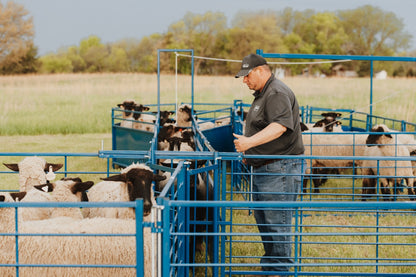 Sydell sliding alleyway gate for goat and sheep corral