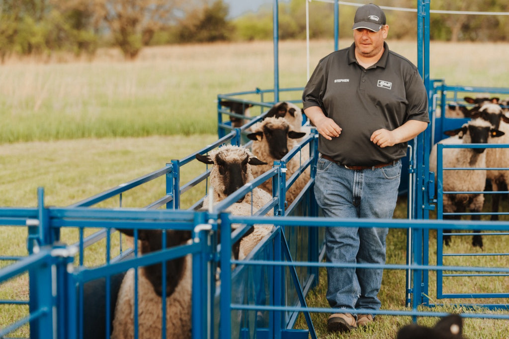Sheep & Goat Working Stock Equipment | Handling & Management | Sydell ...