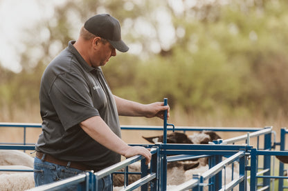 Sydell 2-way sorting gate for herding livestock sheep goat farm
