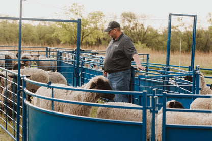 Sydell 8 foot slide and swing gate for goats and sheep farm equipment