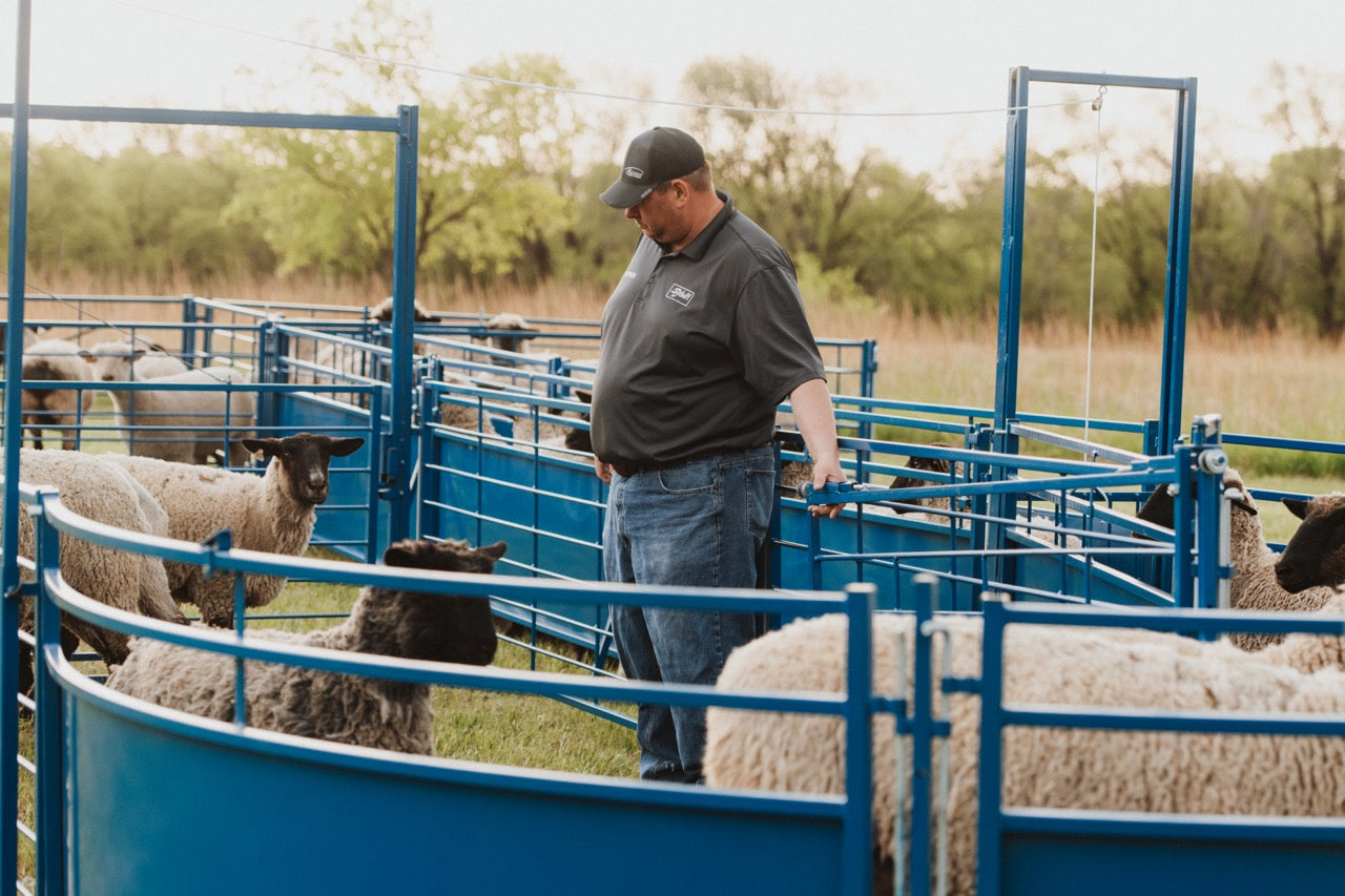 Sydell 8 foot slide and swing gate for goats and sheep farm equipment