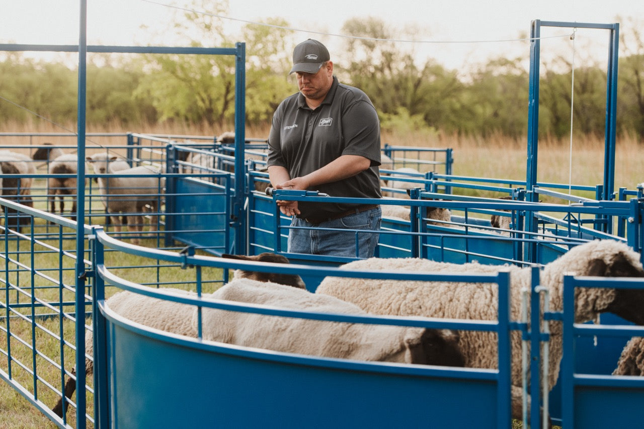 Sydell 8 foot slide and swing gate for goats and sheep farm equipment
