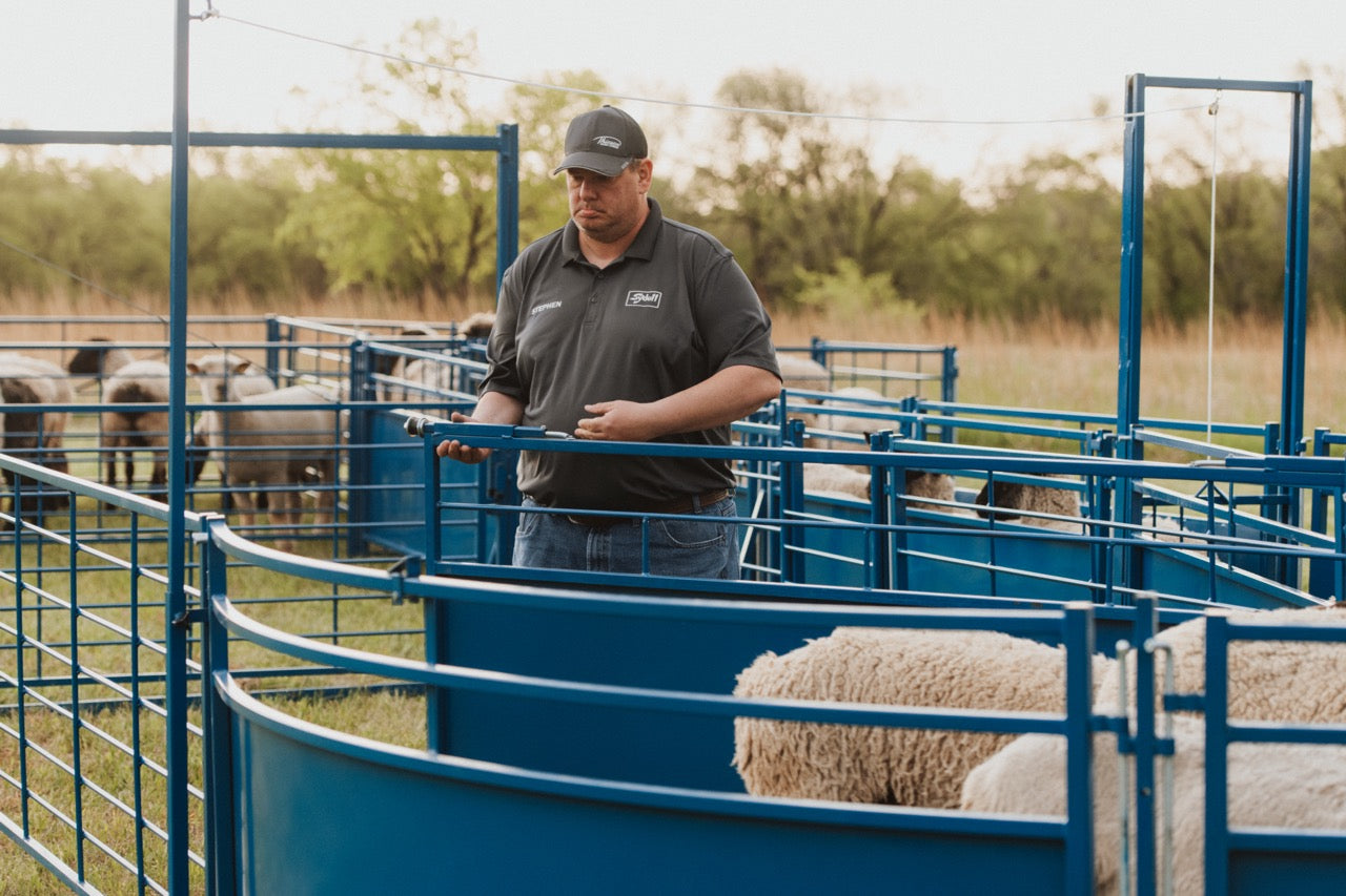Sydell 8 foot slide and swing gate for goats and sheep farm equipment