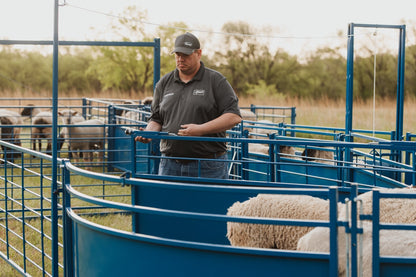 Sydell 8 foot slide and swing gate for goats and sheep farm equipment