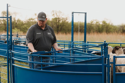 Sydell 8 foot slide and swing gate for goats and sheep farm equipment