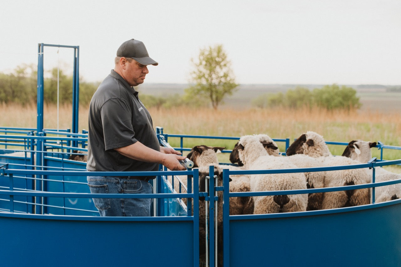 Detail view of livestock equipment connection and adjustable components for sheep and goats