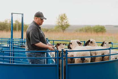 Detail view of livestock equipment connection and adjustable components for sheep and goats
