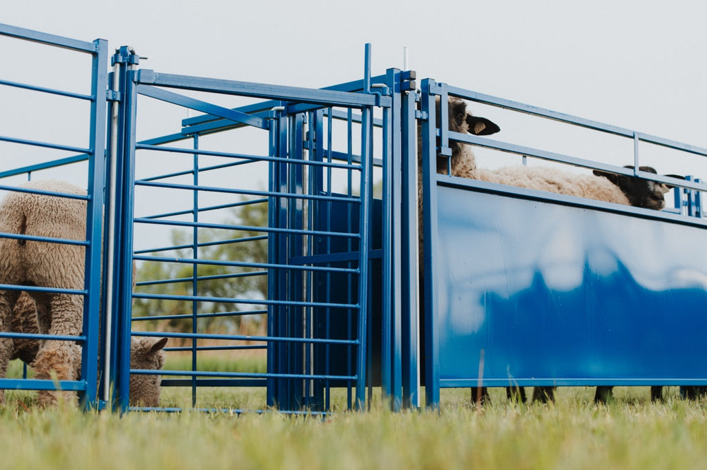 Sheep & Goat Working Stock Equipment | Handling & Management | Sydell ...