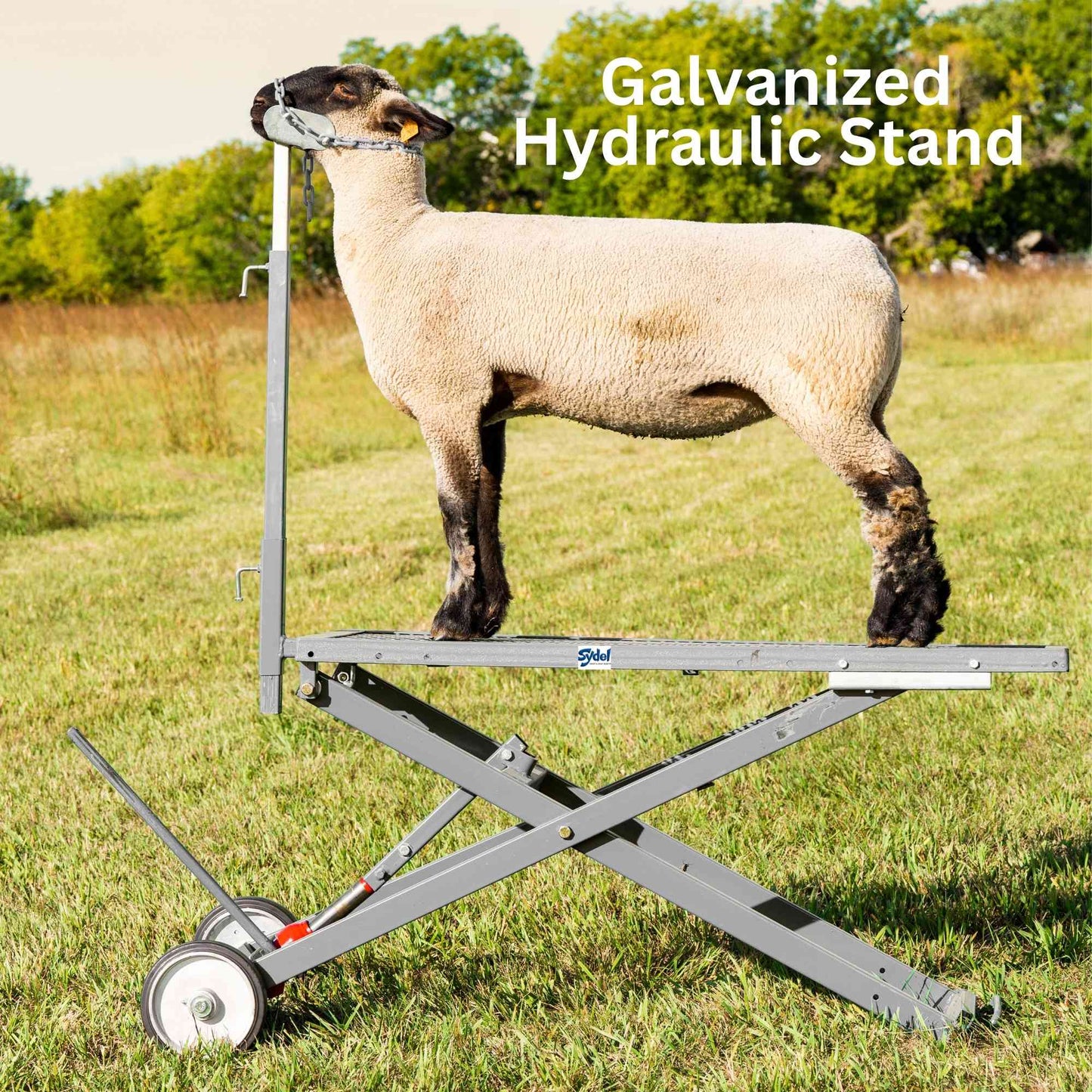 Hydraulic Stand for Sheep & Goats | Sydell #0780