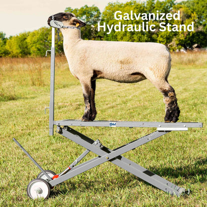 Hydraulic Stand for Sheep & Goats | Sydell #0780