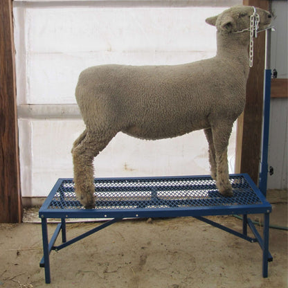 Fold-Up Fitting Stand for Sheep & Goats | Sydell #0705 / #AL0745