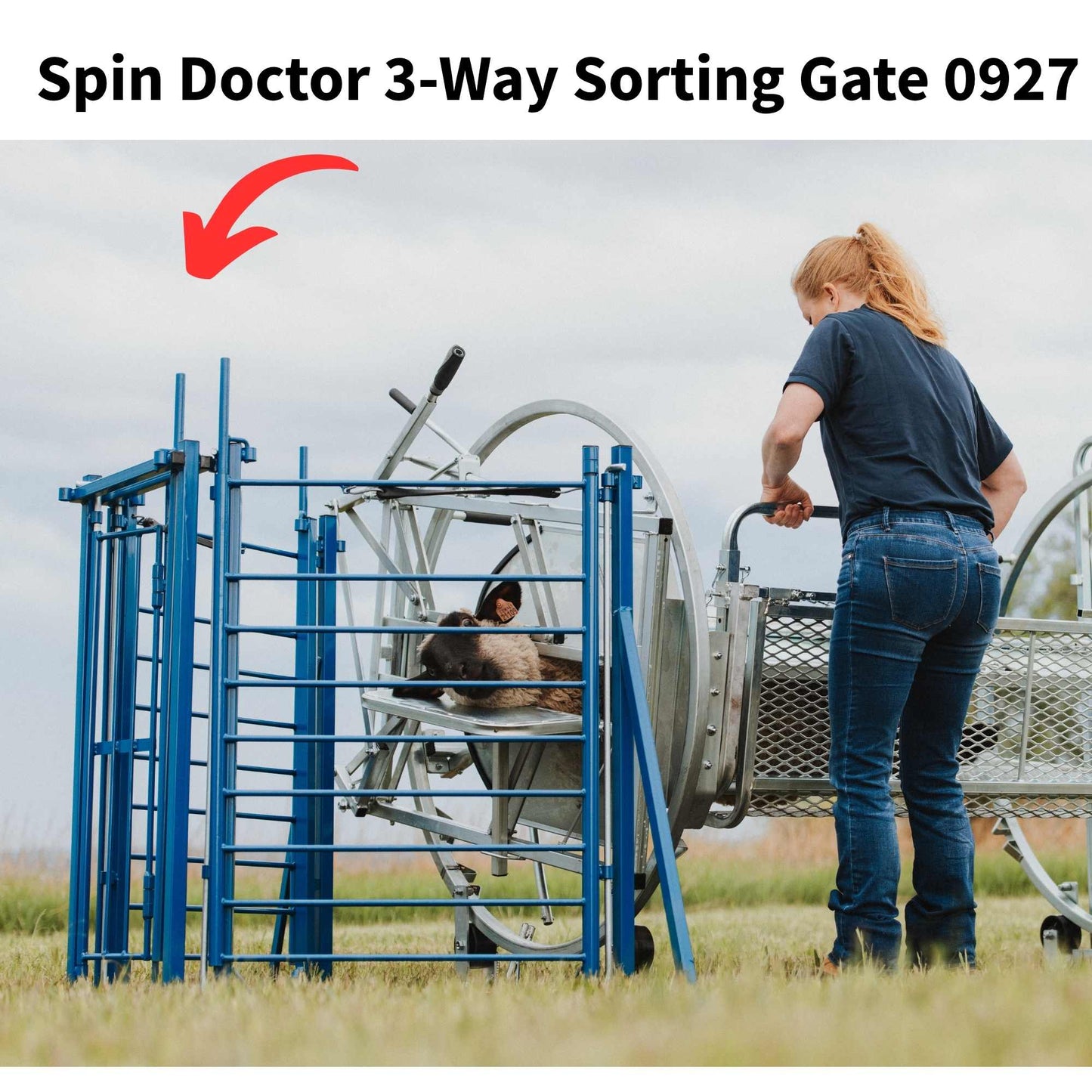 Deluxe Spin Doctor Sheep & Goat Hoof Trimming | Sydell  0938