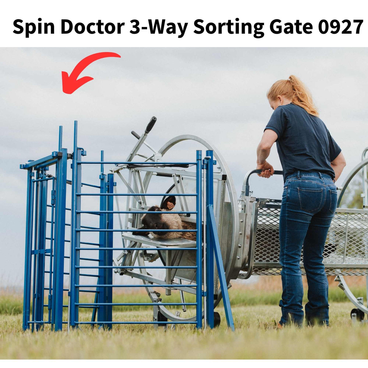 Sheep & Goat Working System E | Sydell #0987