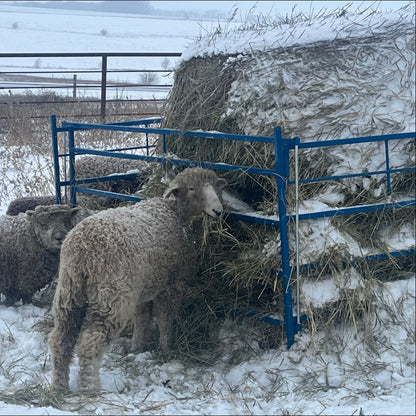 Collapsible Bale Feeders - Horizontal Manger for Sheep & Goats | Sydell #0886 / #0887