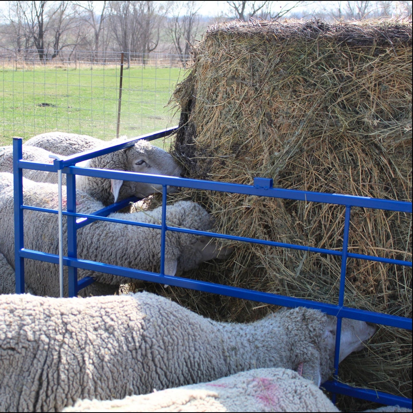 Collapsible Bale Feeders - Horizontal Manger for Sheep & Goats | Sydell #0886 / #0887
