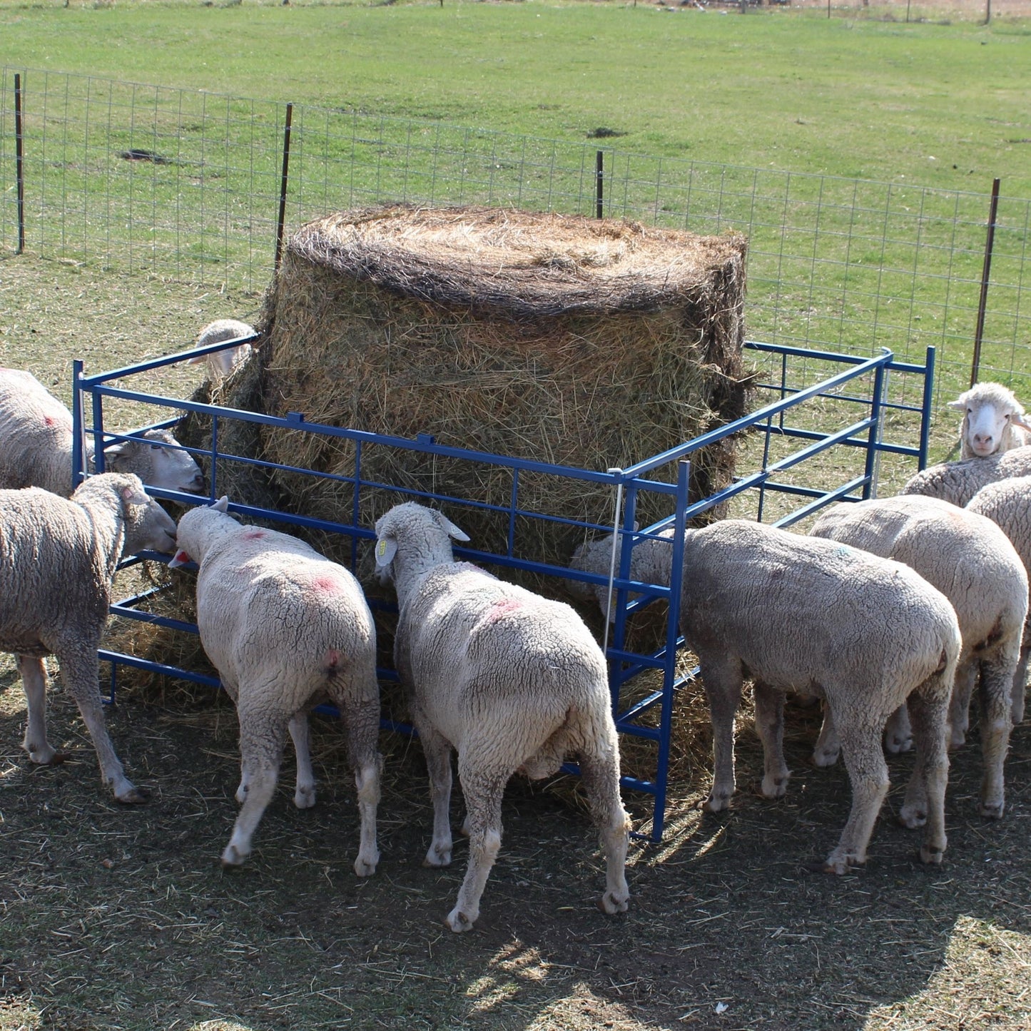 Collapsible Bale Feeders - Horizontal Manger for Sheep & Goats | Sydell #0886 / #0887