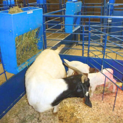 Poly Hay & Grain Feeder for Sheep & Goats | Sydell #0201 / #0202
