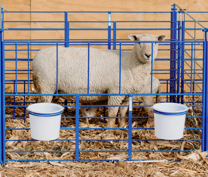 Sheep and goat lambing jug setup designed for safer handling and routine management