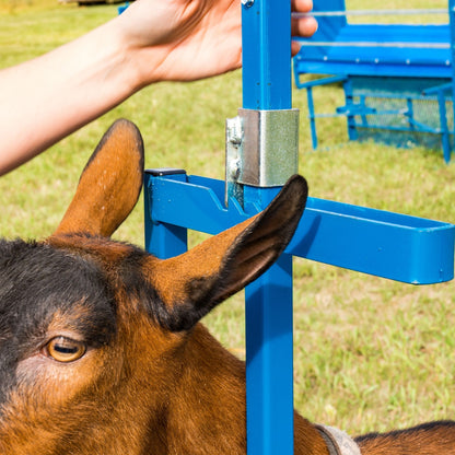 Milking Head Piece with 1' Poly Feeder Set for Sheep & Goats | Sydell #0735 / #AL0735