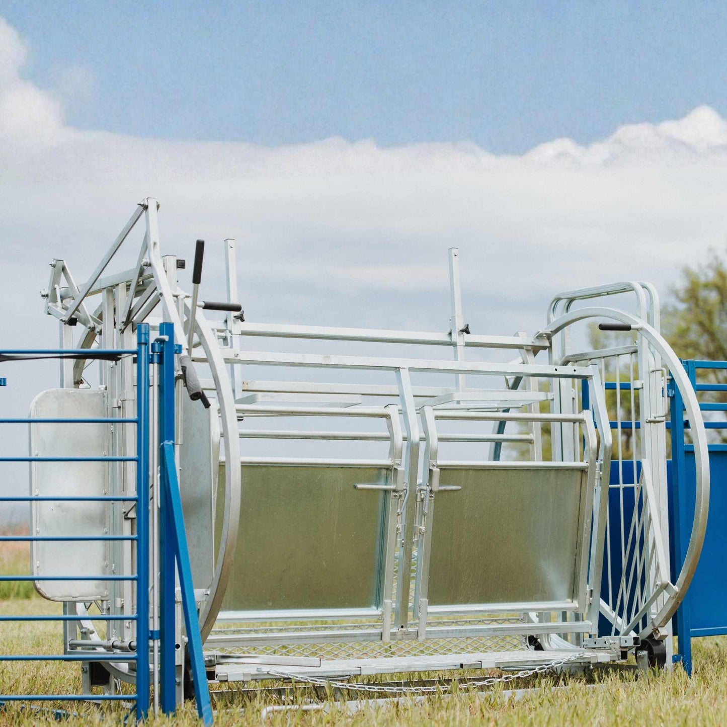 Deluxe Spin Doctor Sheep & Goat Hoof Trimming | Sydell  0938