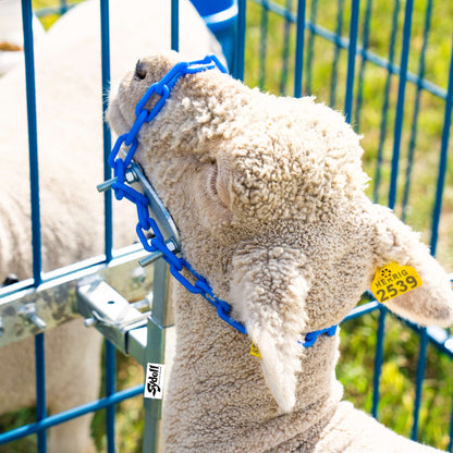 Portable Panel Mount Head Holder for Sheep & Goats | Sydell #0729