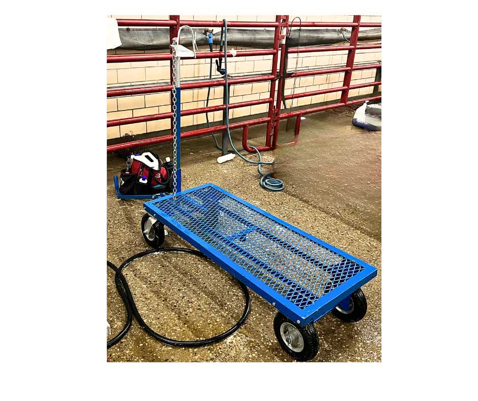 E.Z. Rider Wash Cart for Sheep & Goats | Mobile Show Equipment